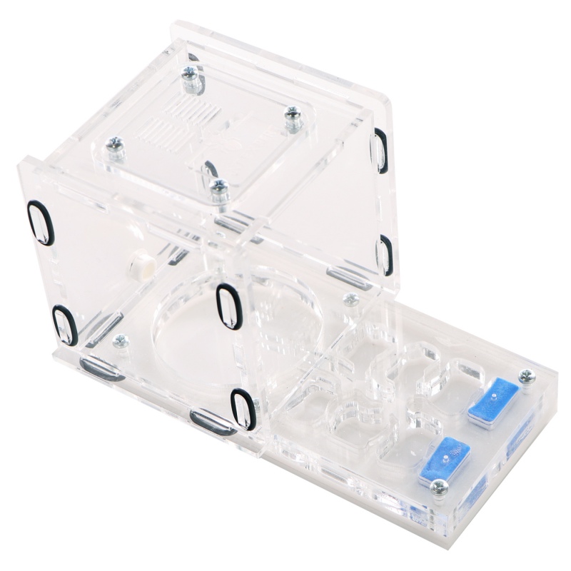 Ant Expert King's Valley - professional acrylic formicarium